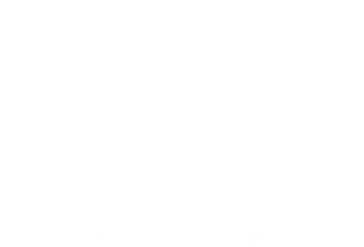 Adobe Logo
